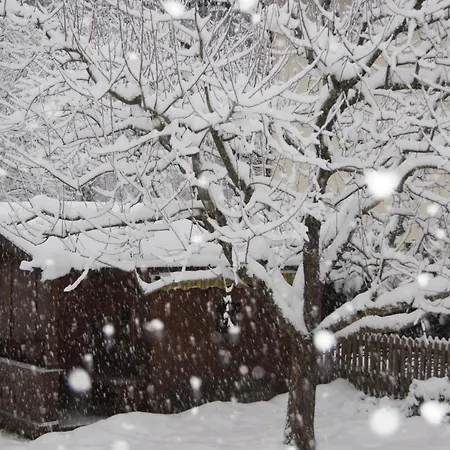 Oda ve Kahvaltı Haus Josef Mayrhofen