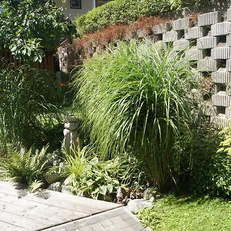 Haus Josef לינה וארוחת בוקר מאיירהופן