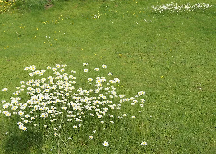 Bed and breakfast Haus Josef