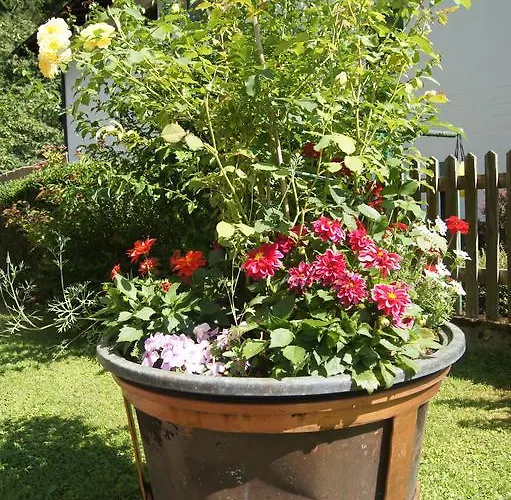 Bed and breakfast Haus Josef *