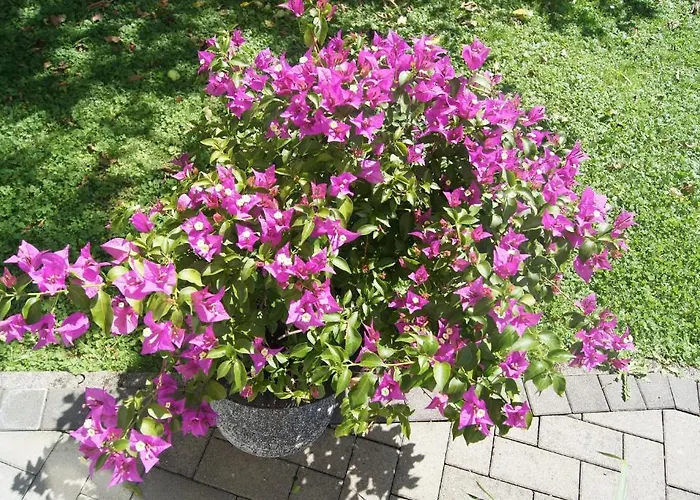 Haus Josef Mayrhofen