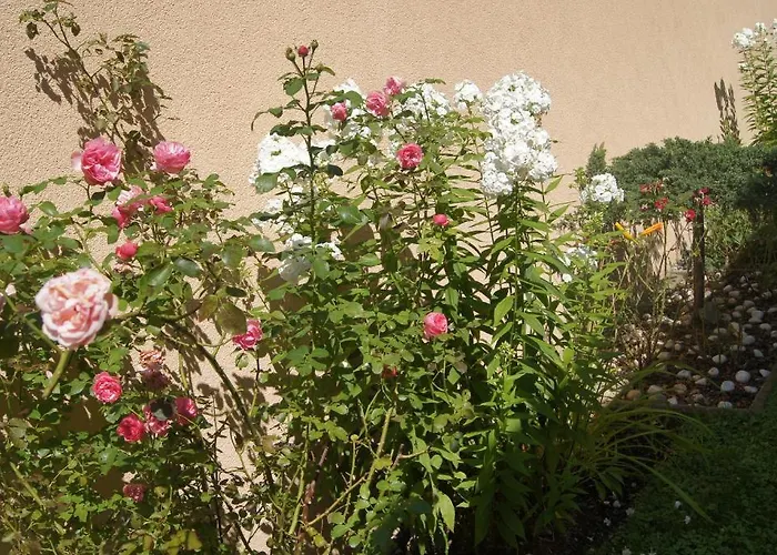 Haus Josef Bed & Breakfast *